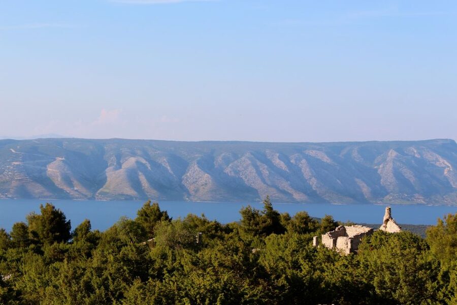 3-Hour Lavender Tour from Hvar - Why lavender in Dalmatia feels different