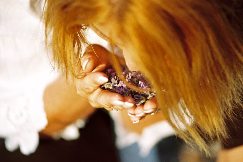 3-Hour Lavender Tour from Hvar - Stop by Stop: what you’ll actually do