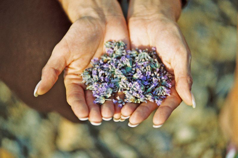 3-Hour Lavender Tour from Hvar - What to bring so you enjoy every minute