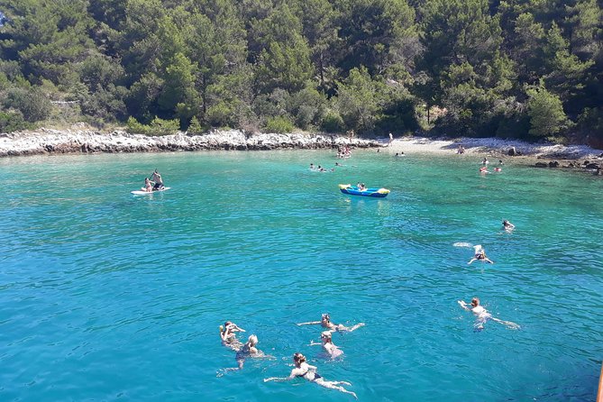 All Inclusive Brac and Solta islands swimming cruise - The Return to Split: Low-Key Cruise Time and Unplanned Nature Moments