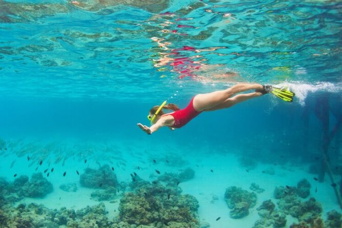 Blue Cave Full-Day Boat Tour with Hvar and 5 Islands - Stiniva Cove: short stop, big payoff at the nature reserve beach