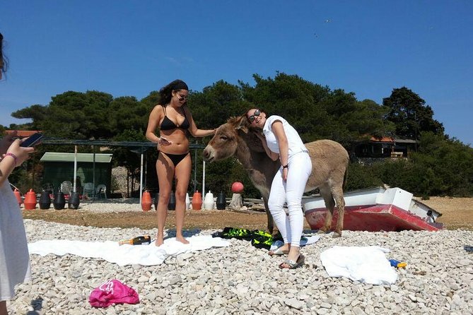 Blue Cave, Hvar and Five islands - Small-Group Tour From Split - Stop 3, Blue Lagoon or Krknjasi Bay: snorkeling with the gear provided