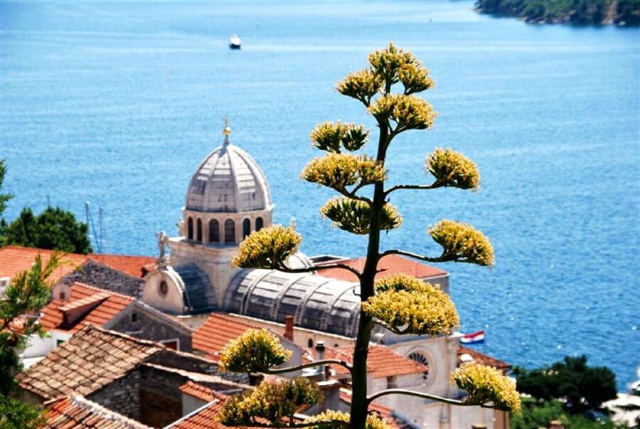 Dalmatian Delights: Food & Wine Tour from Split or Trogir - Who this tour suits best (and who should pick another option)