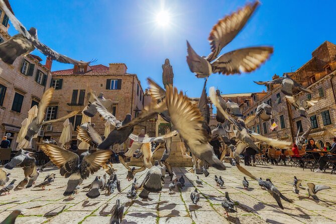 Dubrovnik Guided Tour & Free Time From Makarska Riviera - The 8:00 AM Start and How Pickup Affects Your Day