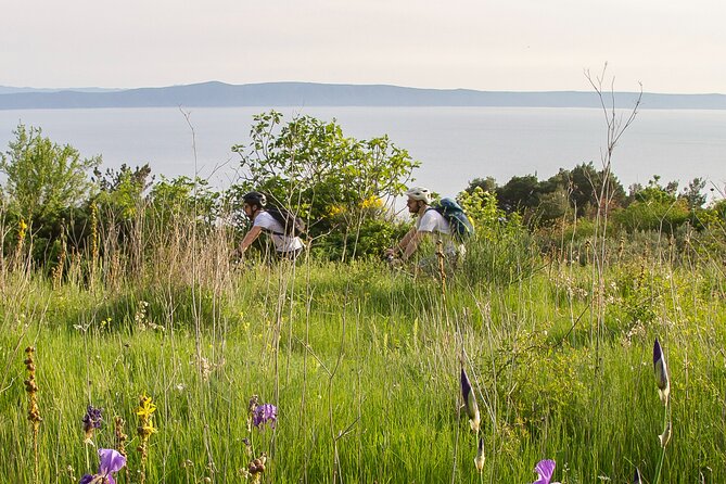 E-Bike Tour at Historical Villages of Makarska - Stop 2: Gornje Tučepi Snack Break and Nature Reset