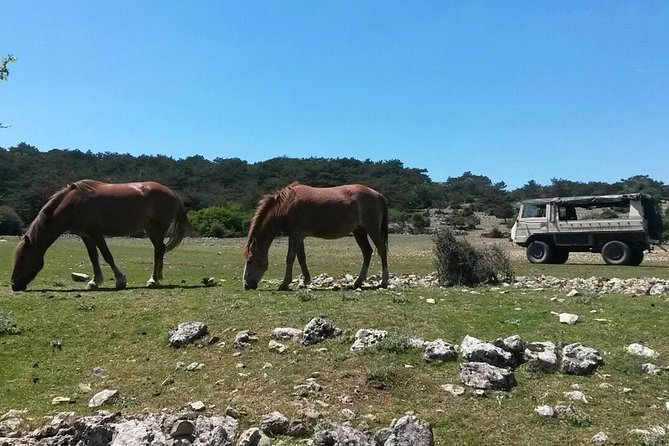 Feel and Taste island Brac with local experts - island adventure to remember - Škrip and Roman-era traces, where old stone still has a pulse