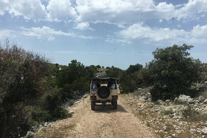 Feel and Taste island Brac with local experts - island adventure to remember - Olive oil tastings, museum stops, and why food is part of the story