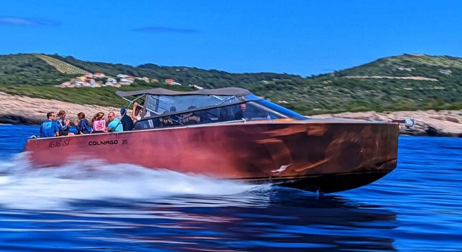 From Split: All-inclusive Blue Cave Tour with Grilled Lunch - Milna lunch: grilled fish, meat, and real vegetarian or vegan options