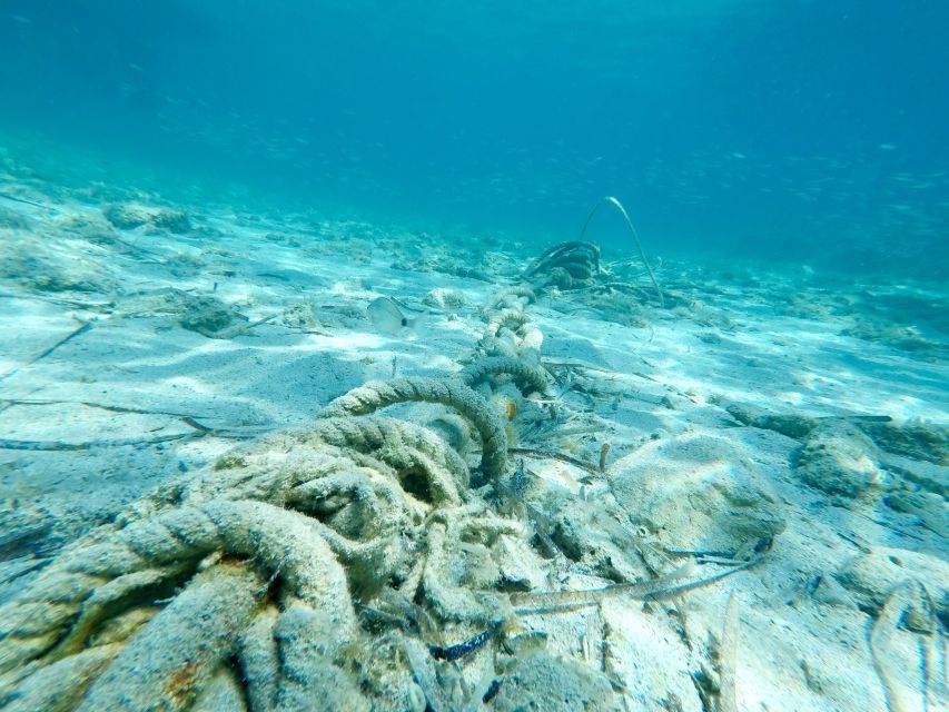 From Split: Blue Lagoon & Trogir Boat Trip with Snorkeling - Should You Book This Blue Lagoon and Trogir Boat Trip?
