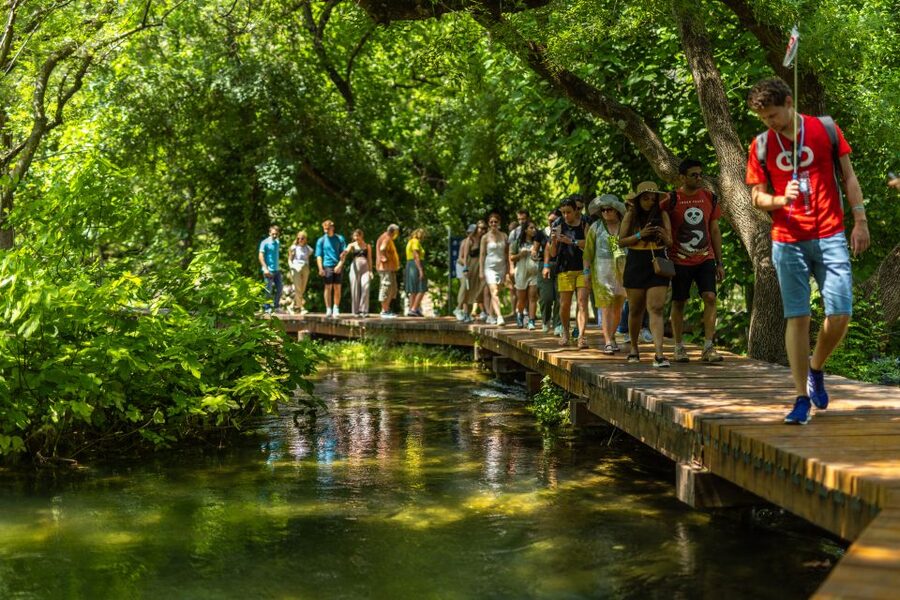 From Split: Krka National Park Tour - Wine tasting option: small add-on, real payoff for many people
