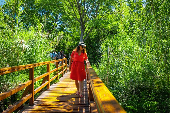 From Split: Krka Waterfalls Tour - Guide and driver reality: communication and comfort issues to plan for