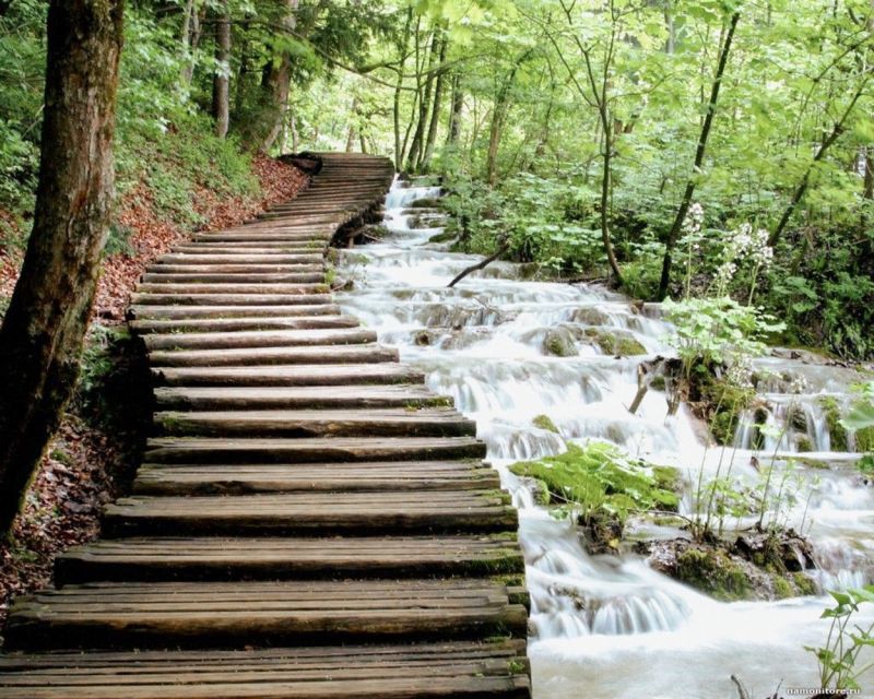 From Split or Trogir: Plitvice Lakes Guided Full-Day Tour - What to Bring (So You Can Actually Enjoy the Day)