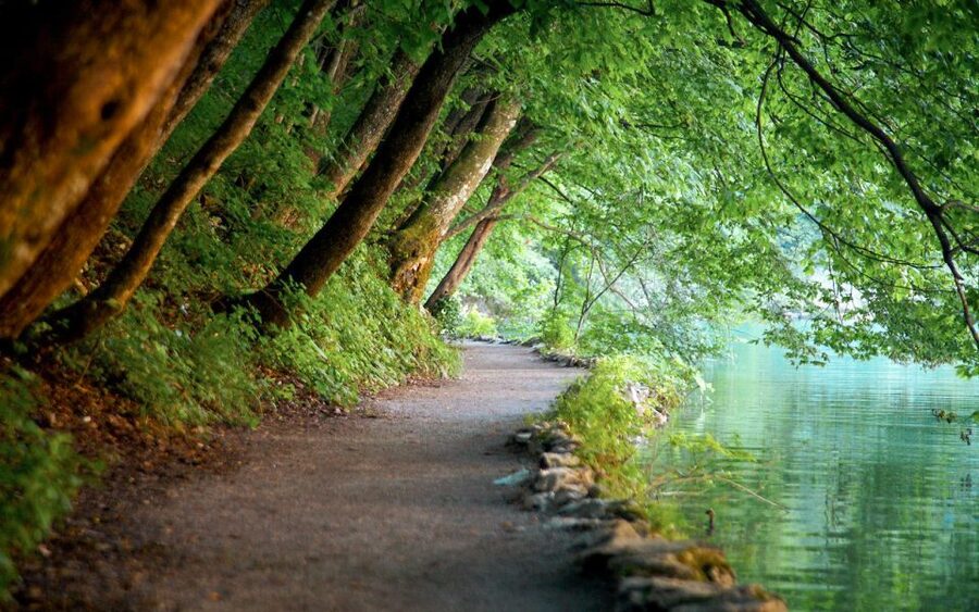 From Split or Trogir: Plitvice Lakes Guided Full-Day Tour - Entering the Park: Wooden Walkways and the Korana River Story