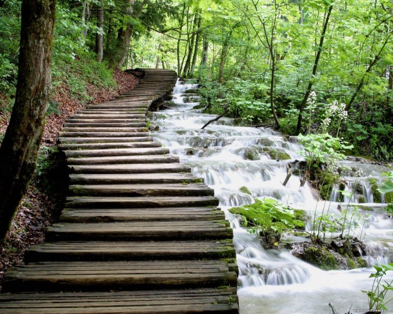From Split or Trogir: Plitvice Lakes Private Tour - Who This Private Plitvice Tour Is Best For (and Who Might Want Another Plan)