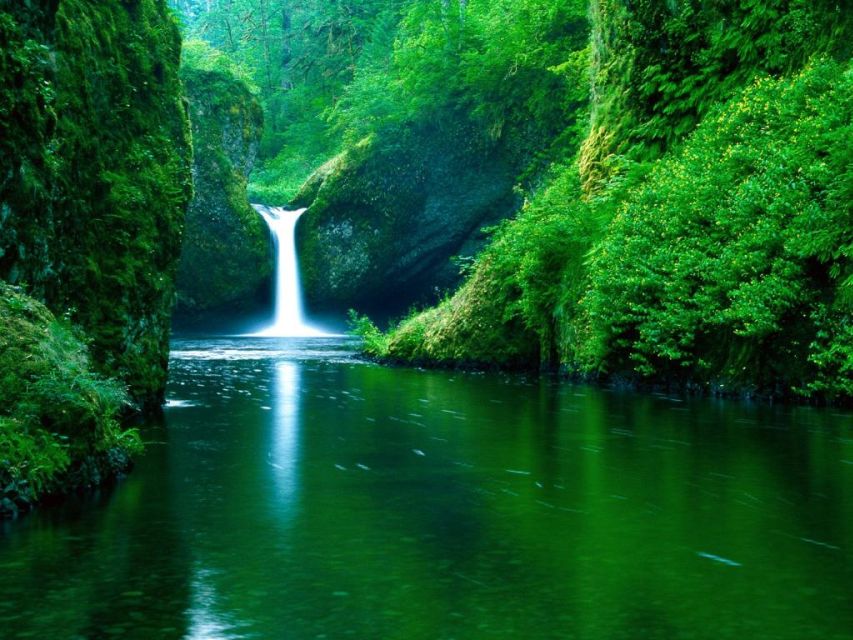 From Split or Trogir: Plitvice Lakes Private Tour - Price and Value: What You’re Really Paying For