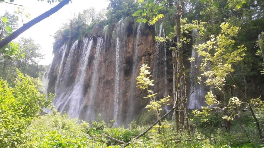 From Split or Trogir: Plitvice Lakes Trip with Entry Ticket - Vila Velebita break: lunch time with a practical reset