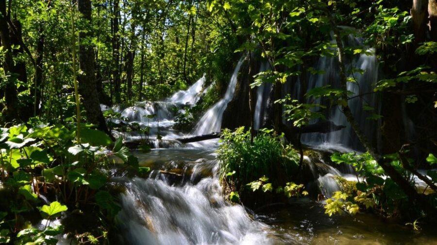 From Split or Trogir: Plitvice Lakes Trip with Entry Ticket - Getting to Plitvice: road time, break time, and how the day unfolds