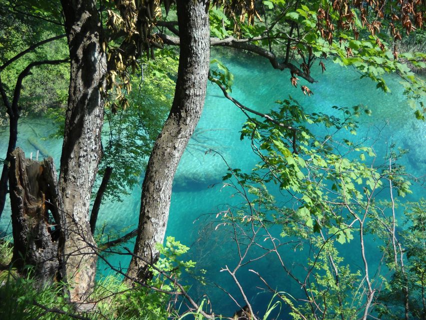 From Split: Plitvice Lakes Full-Day Trip - Break times and food planning on a 12-hour day