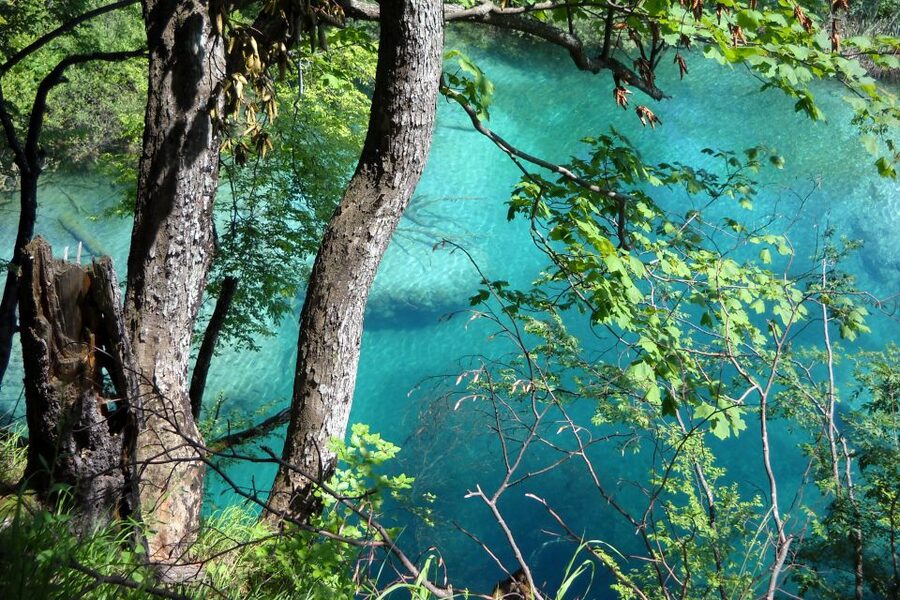 From Split: Plitvice Lakes Fully-Guided Day Tour - Great Waterfall (Veliki Slap): The Viewpoint That Feels Like a Finale
