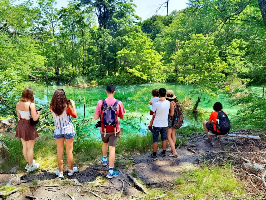 From Split: Plitvice Lakes Guided Tour with Entry Tickets - Entering Plitvice Lakes: what the upper-to-lower trail feels like