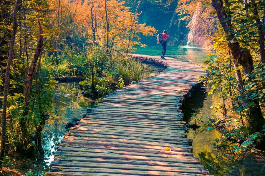 From Split: Plitvice Lakes Guided Tour with Entry Tickets - Price and value: what you are paying for (and what you are not)