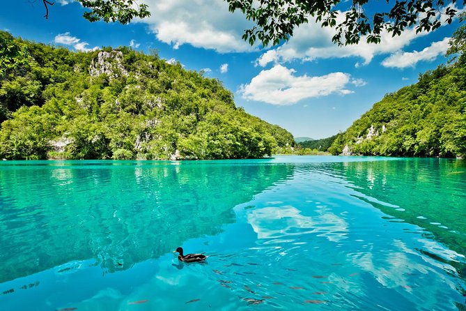 From Split: Plitvice Lakes National Park Guided Tour - Your guide can make or break the day, and the guides here are strong