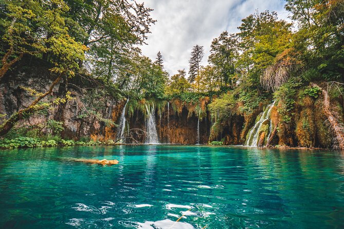 From Split: Plitvice Lakes - Private tour - Lower Lakes and Sastavci Falls: the canyon finale