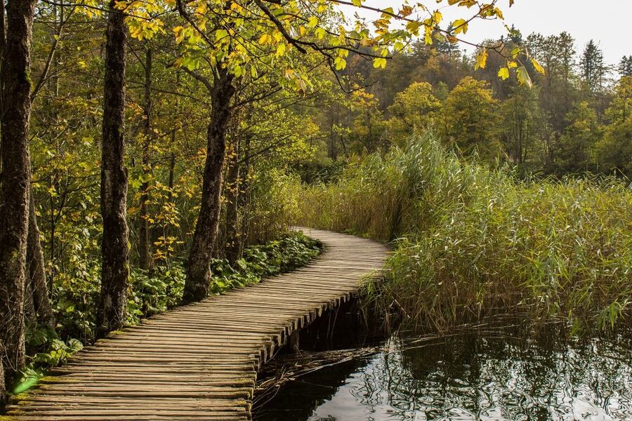 From Split: Private Tour to Plitvice Lakes National Park - Wooden walkways and the lower and upper lakes route