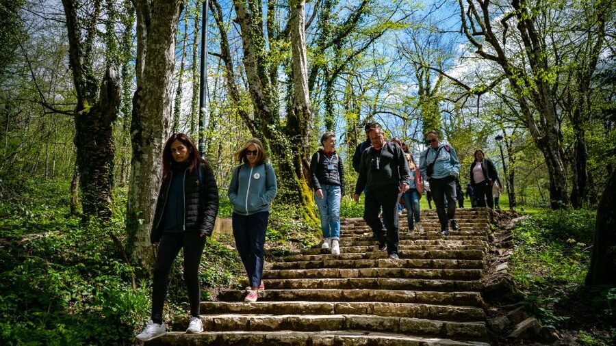 From Split/Trogir/Omiš: Plitvice Lakes Guided Group Tour - Should You Book This Split to Plitvice Lakes Day Trip?