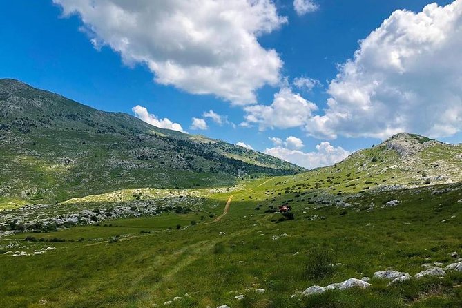 Half Day ATV Tour From Split with Picnic & River swimming - Price and Logistics: Is $169.38 Good Value?