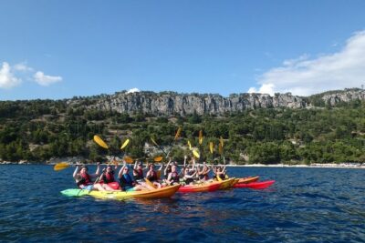 Half-Day Split Sea Kayak Adventure