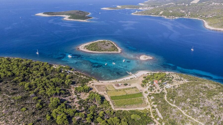 Hvar: Blue Cave, Green Cave & Stiniva Beach Speed Boat Tour - Drinks, Icebox, and Snorkel Gear: What’s Included and What Might Feel Missing