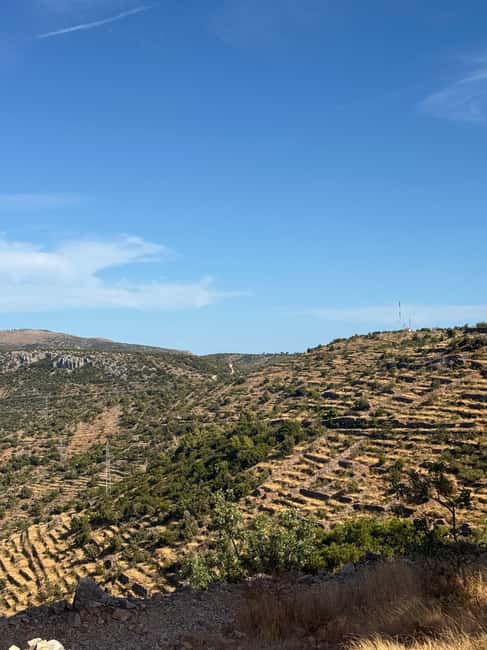 Hvar: Hvar Wine Tasting Experience - Hvar in an afternoon: why this tasting works