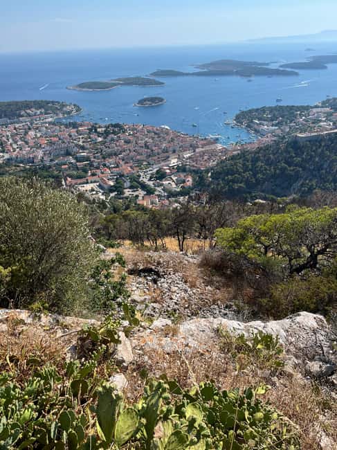 Hvar: Hvar Wine Tasting Experience - Lavender, villages, and the agriculture story behind your glass