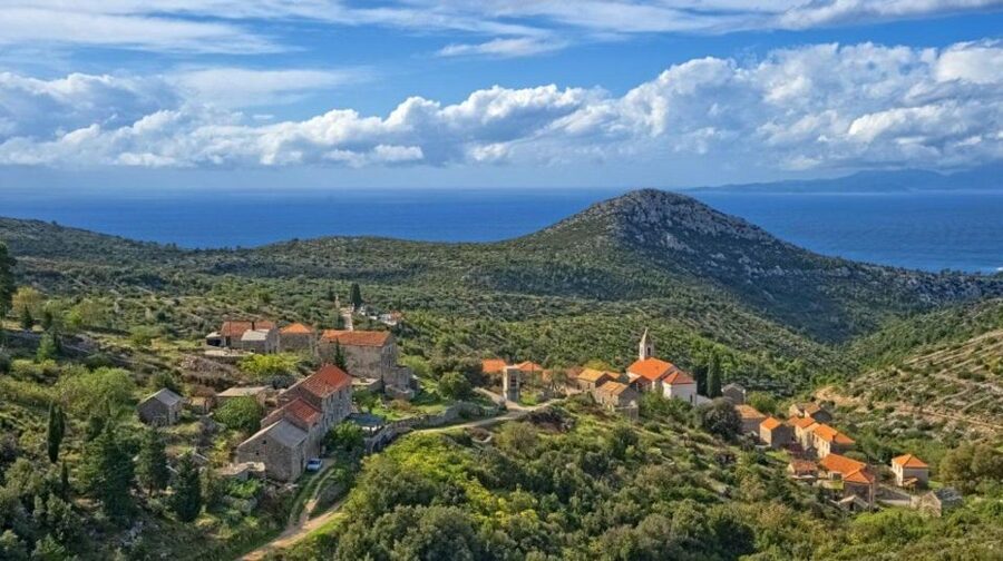 Hvar: Island tour with Wine and Olive Oil Tasting - Key highlights you will feel the moment you book