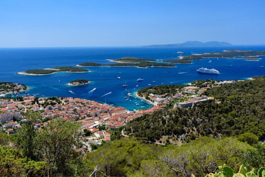 Hvar: Island tour with Wine and Olive Oil Tasting - Jelsa and Duboković Winery: Medvid, Darnekuša, and the right kind of cellar time