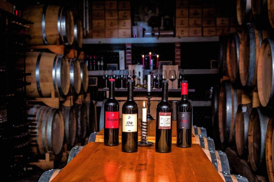 Hvar: Island tour with Wine and Olive Oil Tasting - What you actually taste: wine flights, aromatized olive oils, and comparisons that stick