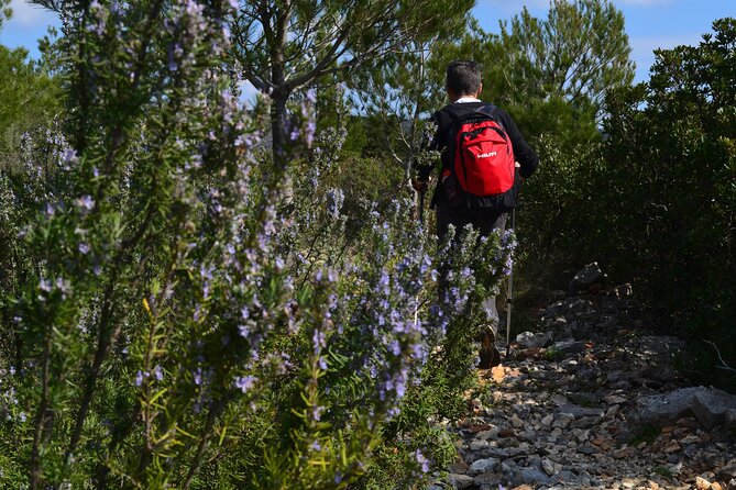 Hvar Lavender Tour - Key points worth knowing