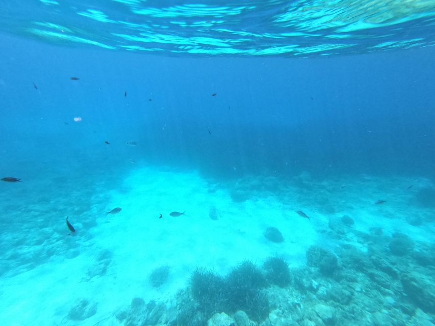 Hvar: Private Sailing Boat Trip with Swimming and Snorkeling - The Onboard Setup That Makes the Day Easy