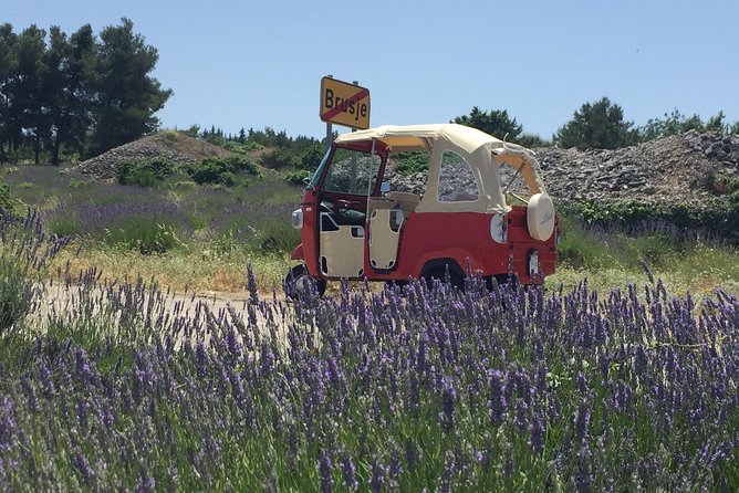 Hvar Private Walking Tour With A Professional Guide - Why This Private Walk Through Hvar Makes Sense