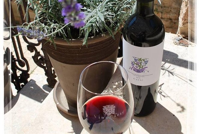 Hvar Small Group Wine Tour and Authentic Dalmatian Dinner - Two wine tastings across Hvar: why you get variety instead of repeats