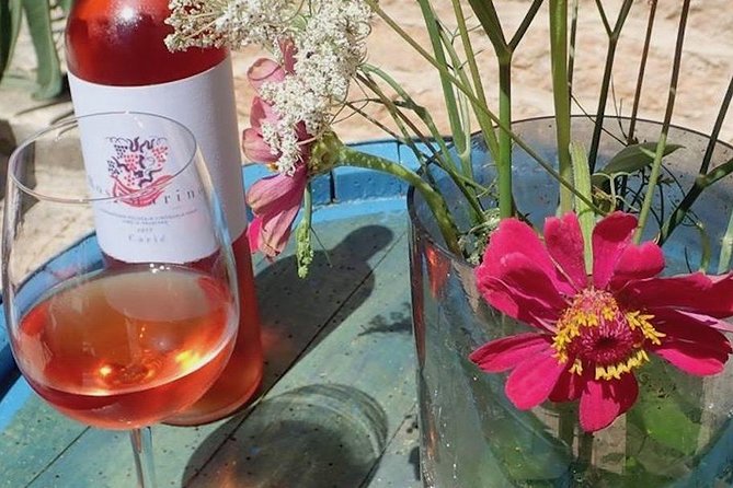 Hvar Small Group Wine Tour and Authentic Dalmatian Dinner - Pickup, meeting point, and how to avoid confusion at Riva 24