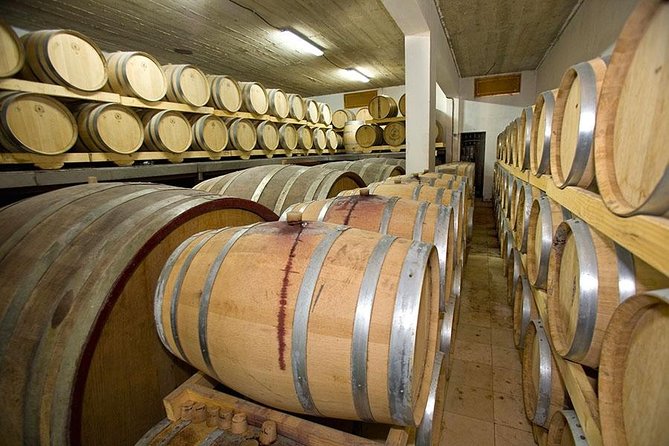 Hvar Wine tasting small group experience - One winery, several pours: what the tasting actually feels like