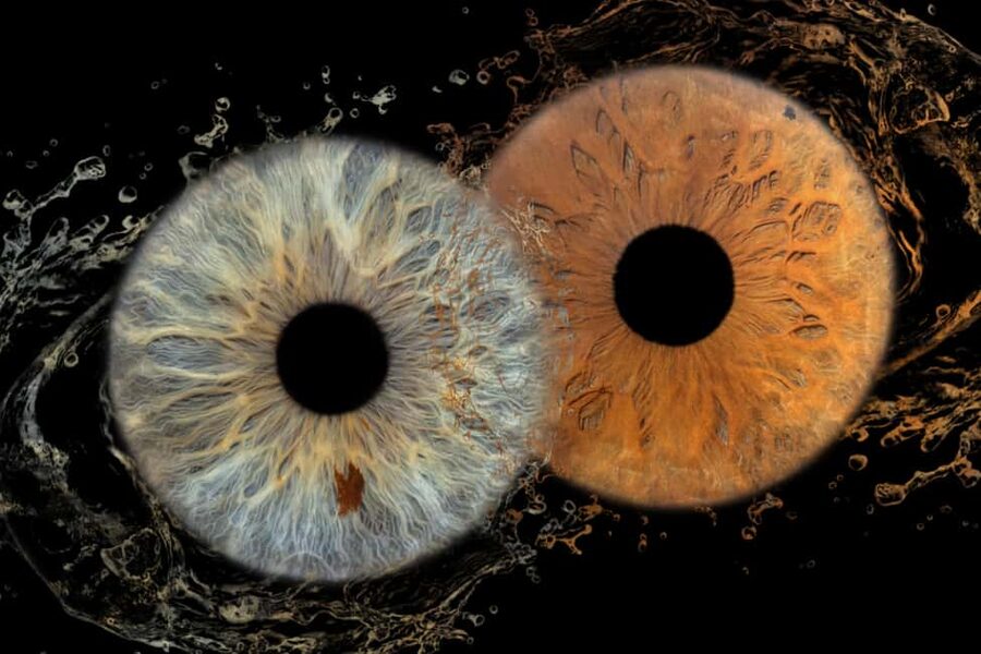 IRIS Photography (macro photo of your eye) - Kralja Zvonimira 7, 2 Minutes From Riva: A Very Convenient Stop