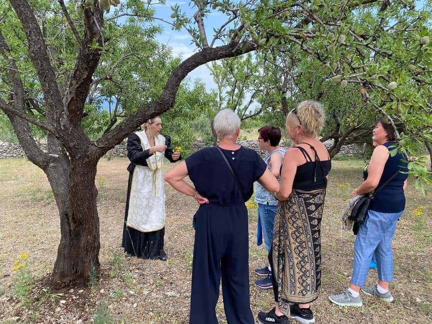 Kastela: Wine & Olive Tasting Tour w/Delicacies & Live Music - From Orchard Rows to Kastela Bay Views: Why This Tasting Feels Different