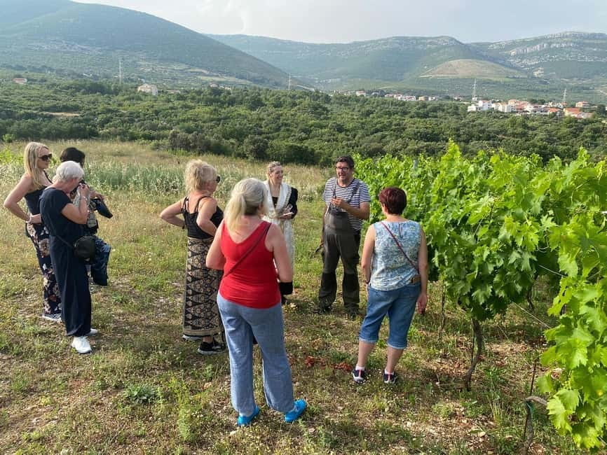 Kastela: Wine & Olive Tasting Tour w/Delicacies & Live Music - Price and Value: Is $173 Worth It for a 210-Minute Farm Day?