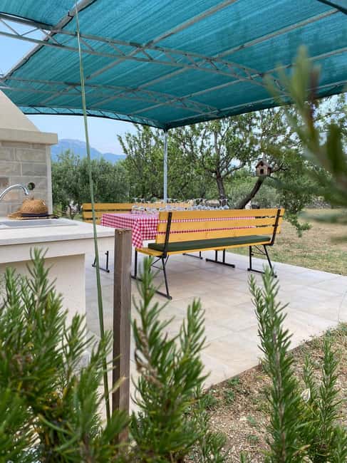 Kastela: Wine & Olive Tasting Tour w/Delicacies & Live Music - Who Should Book This Kaštela Wine and Olive Tour?