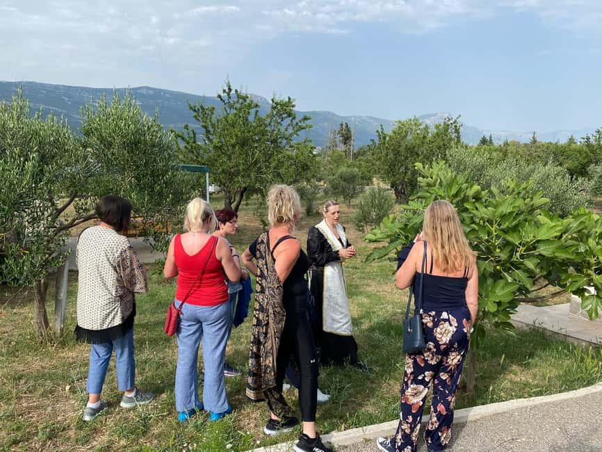Kastela: Wine & Olive Tasting Tour w/Delicacies & Live Music - Should You Book It, or Choose Something Else?