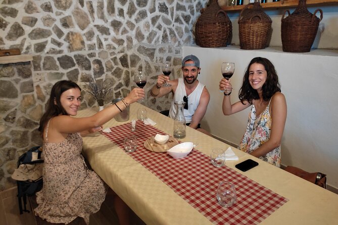 Krka National Park Tour with tour Guide & Wine tasting from Split & Trogir - The river cruise and swim time, how to make it work