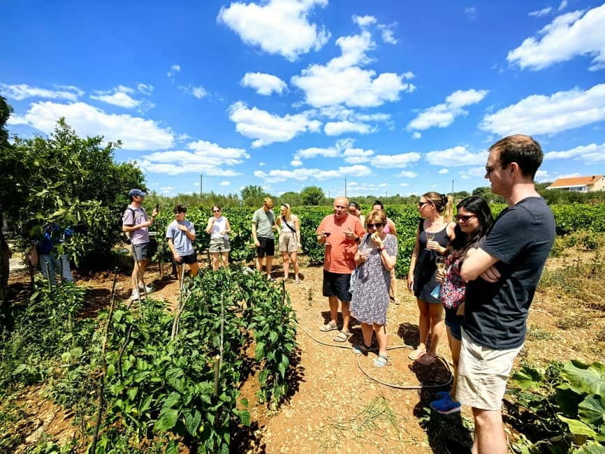 Krka waterfalls tour with lunch from Split - Who Should Book This Krka Tour From Split, and Who Might Skip It?